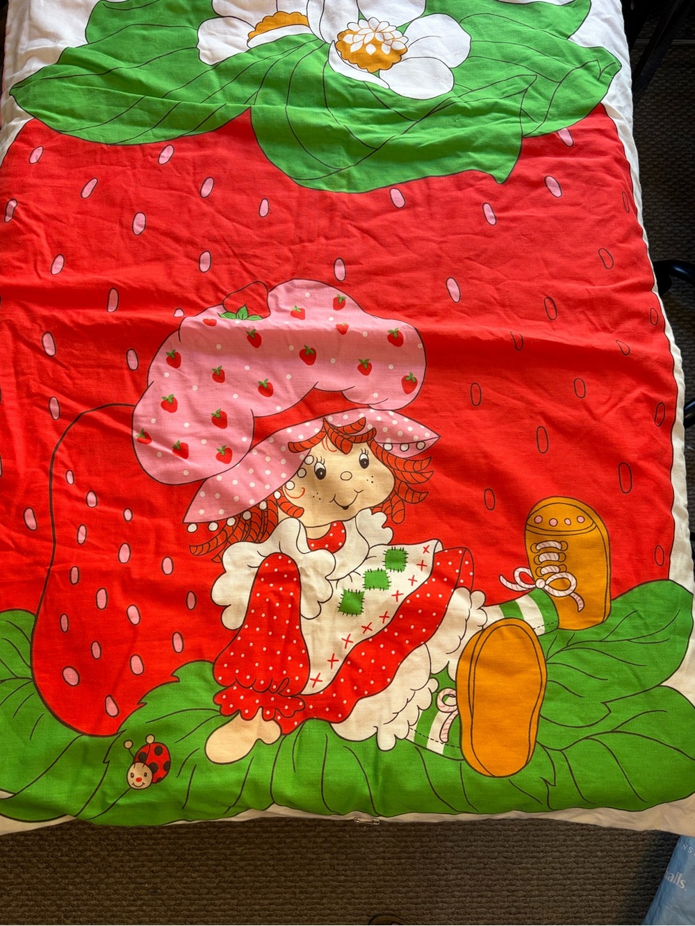 VINTAGE 1980 Strawberry Shortcake Fabric Baby Blanket Throw Spring Mills retro